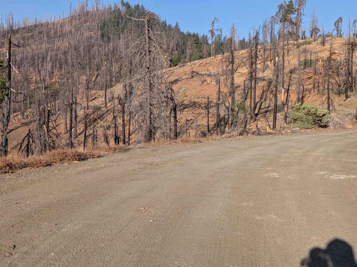 Dubakella Creek Road - FS 29N31 photo 3