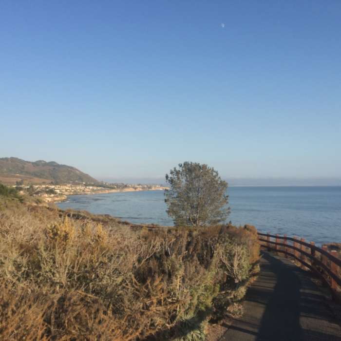 Near Shell Beach Bluff Trail