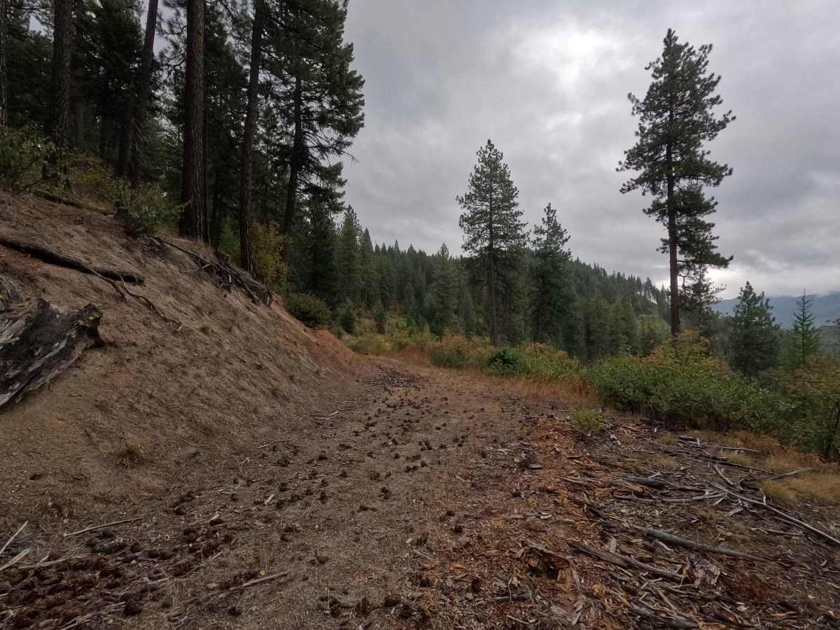 West Branch Flat Creek - FS 462 photo 6