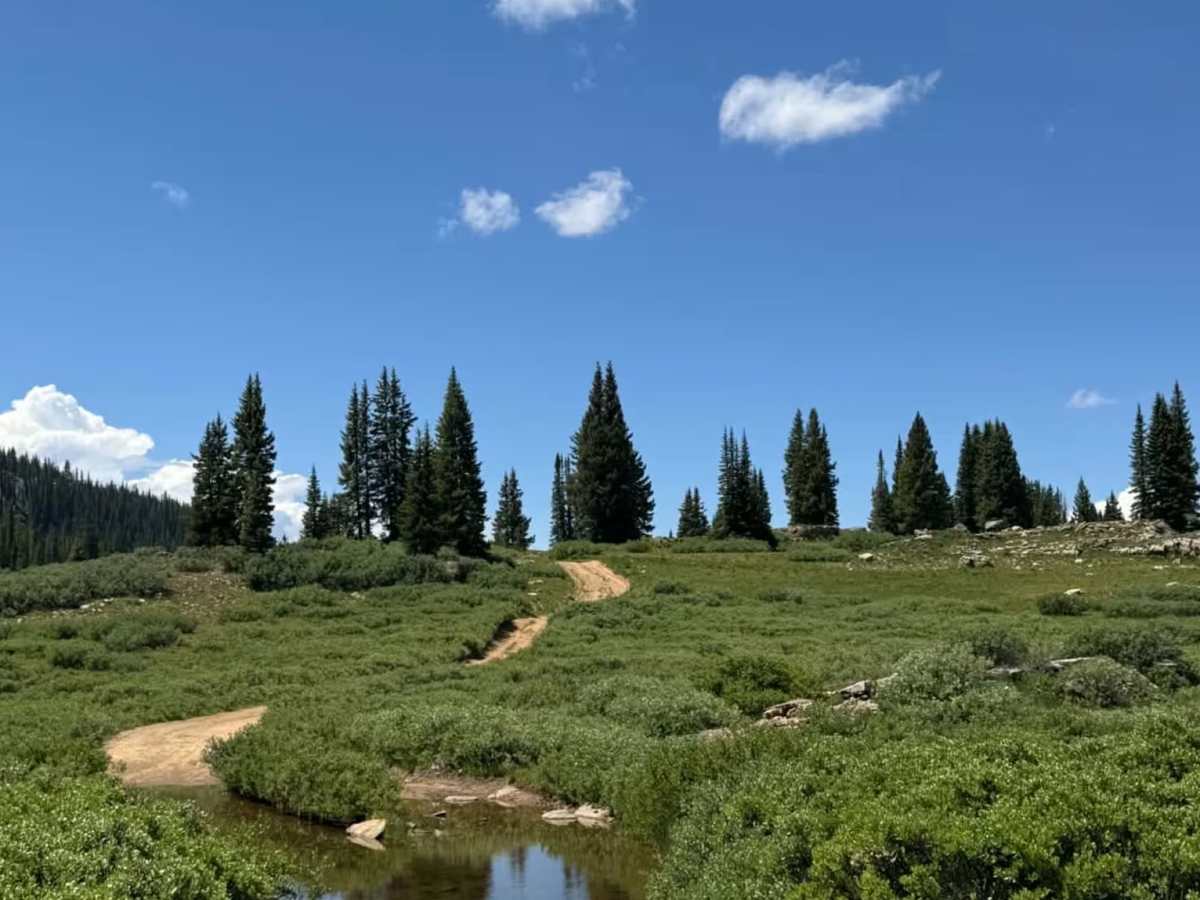 Blue Lake Trail photo 6