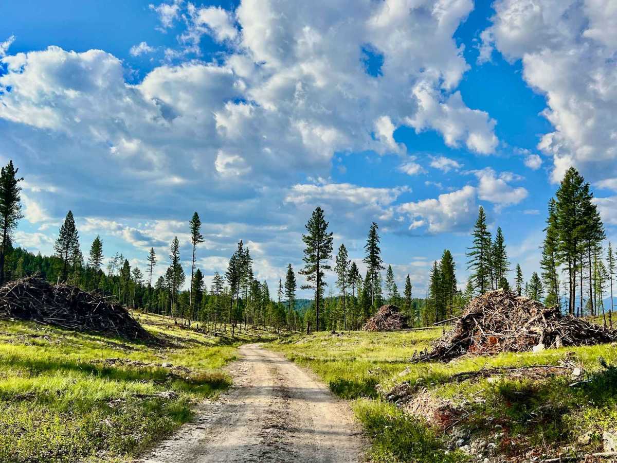 Middle Strauss trail photo