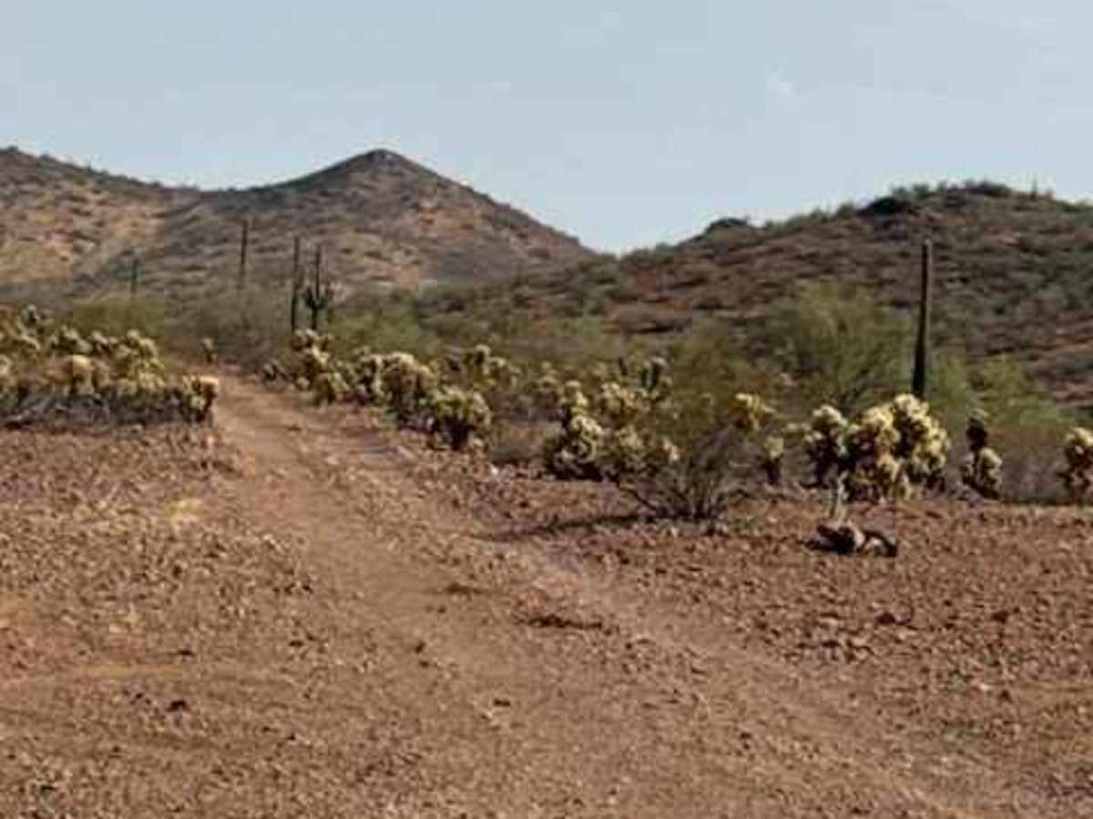 BLM 39160 trail photo