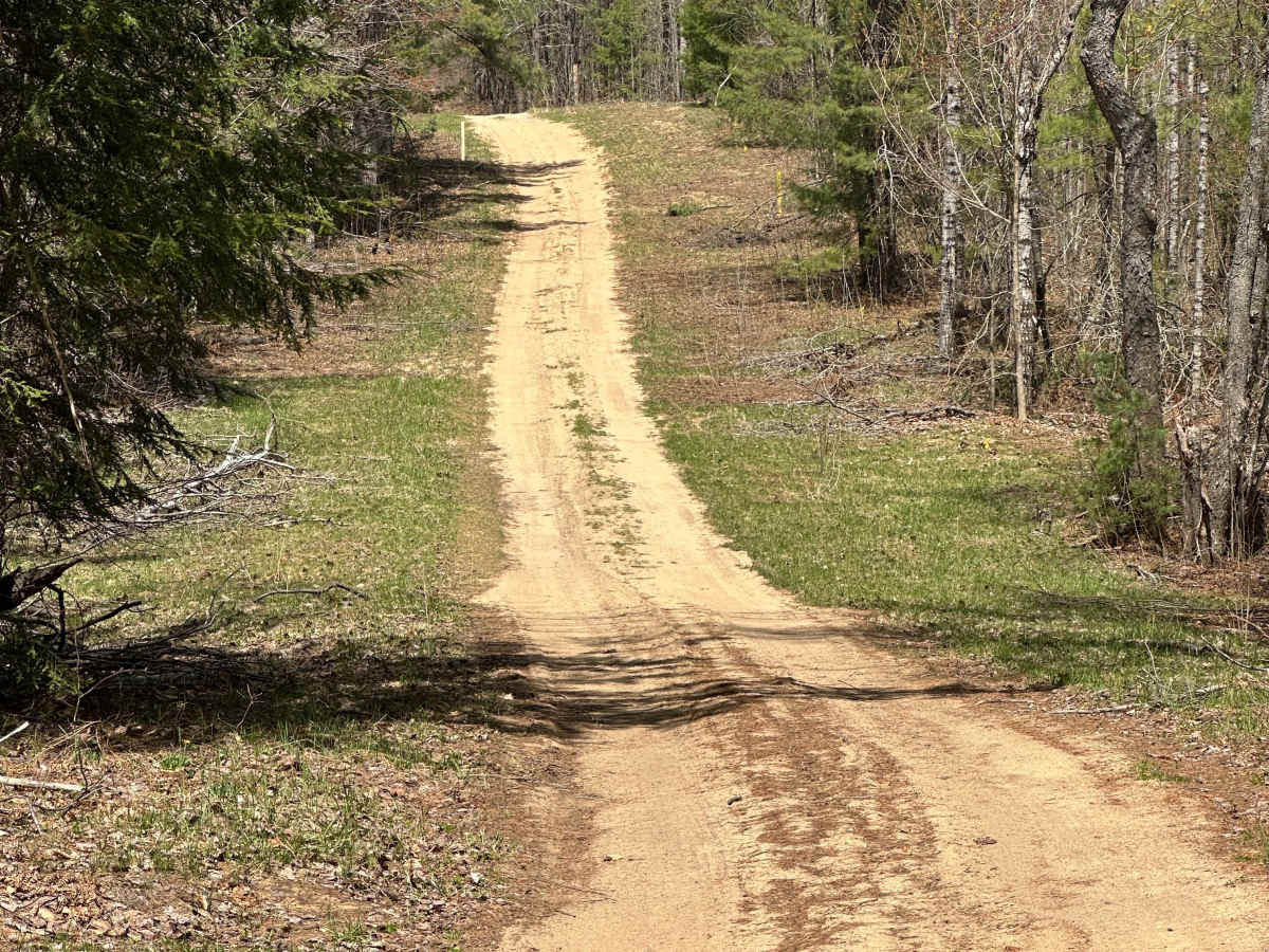 Gump Lake Trail trail photo