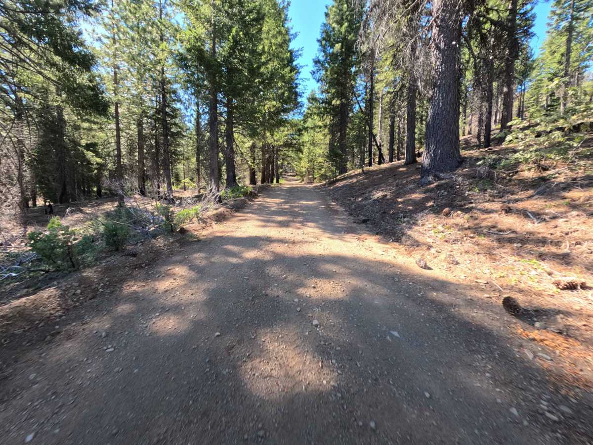Board Camp Ridge - FS 17N10 photo 6