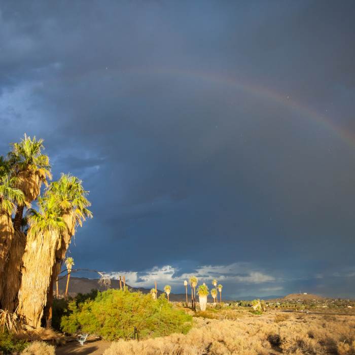 Near Oasis of Mara Trail