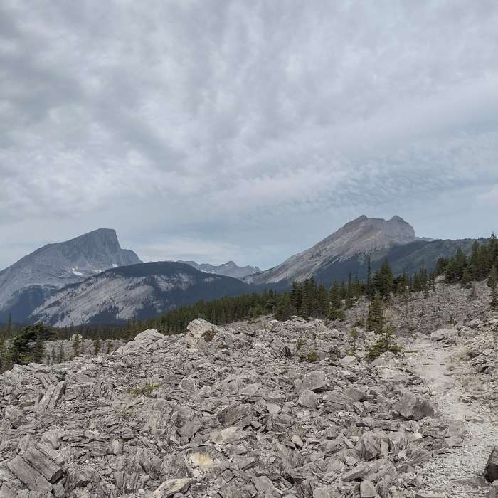 Near Northover Ridge Trail