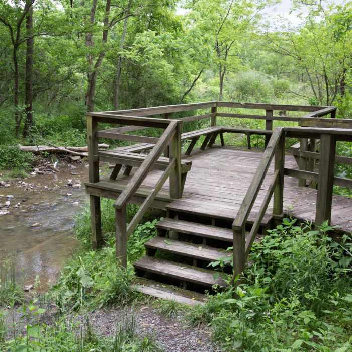 Near Limestone Trail