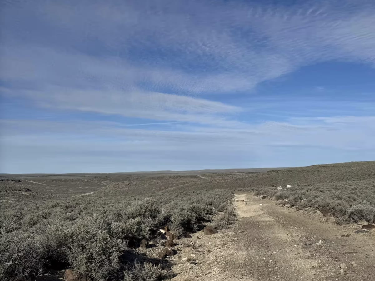 Nevada Crossing - BLM 5625 photo 4