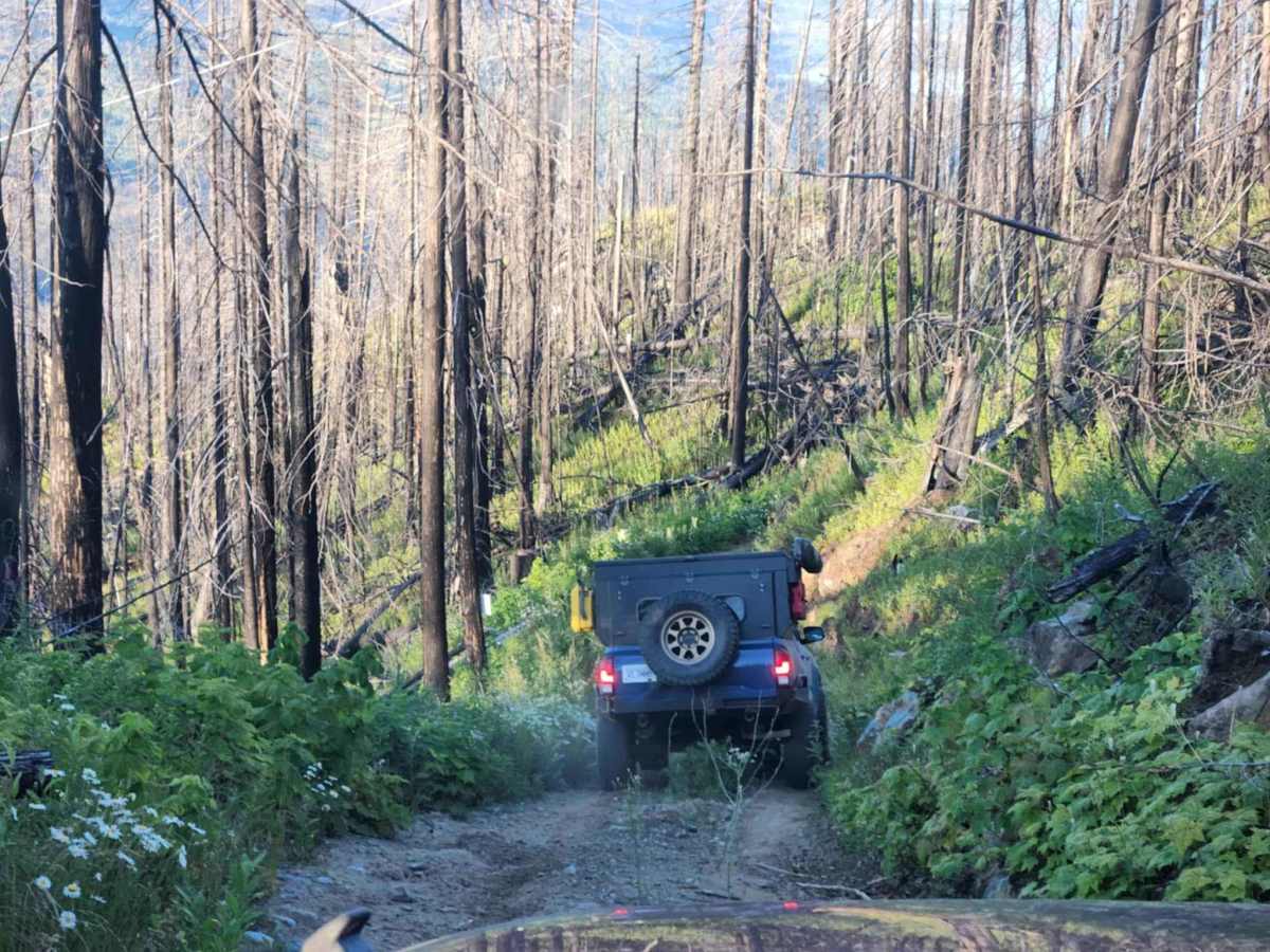 Adams Hill Cell Tower trail photo