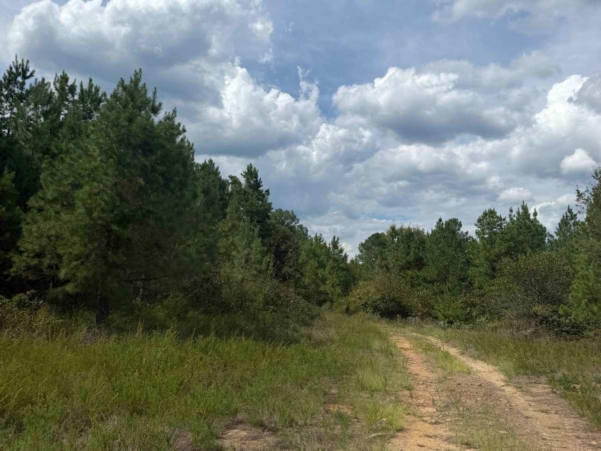 Oak Mountain Road photo 2