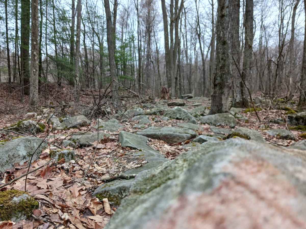 OHV 57 - Rock Run Recreation Area photo 5