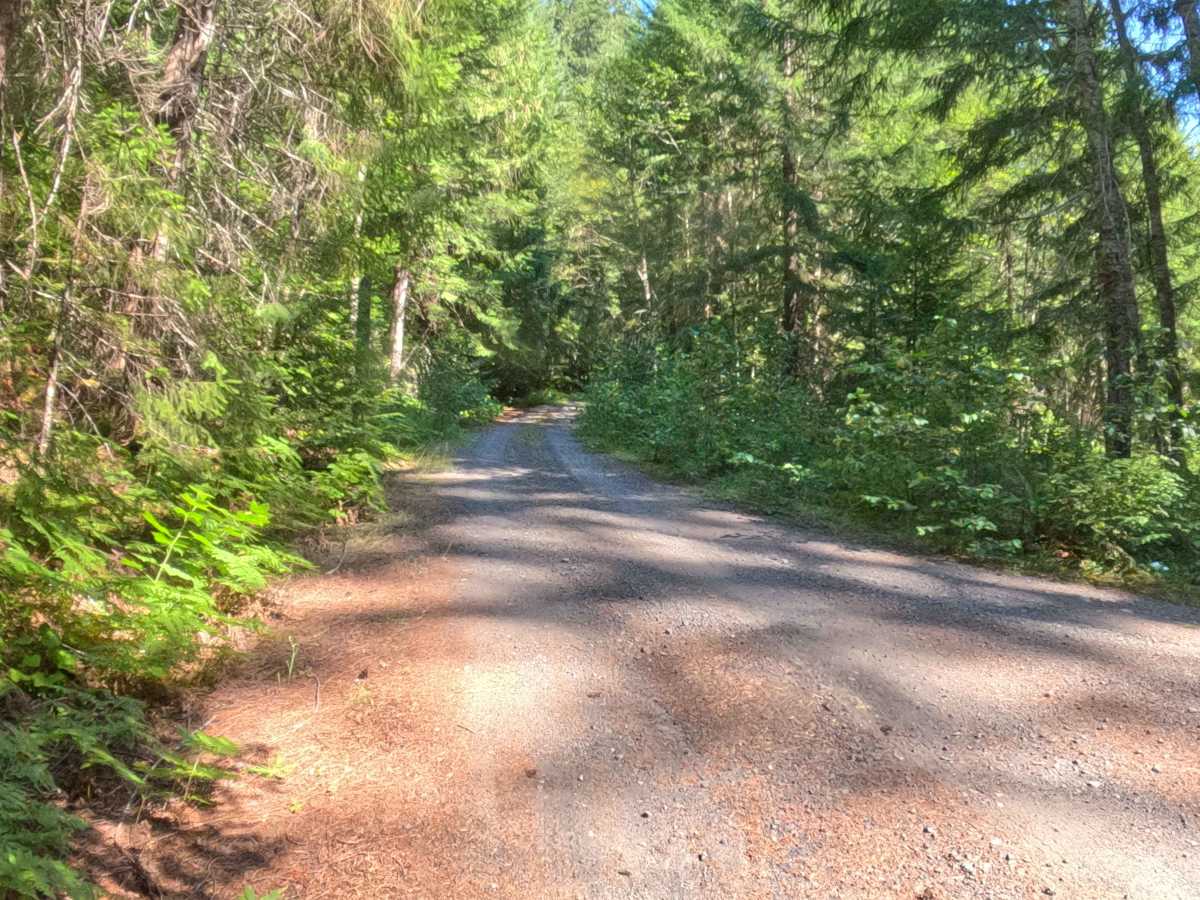 Minto Mountain Road - FS 2253125 trail photo