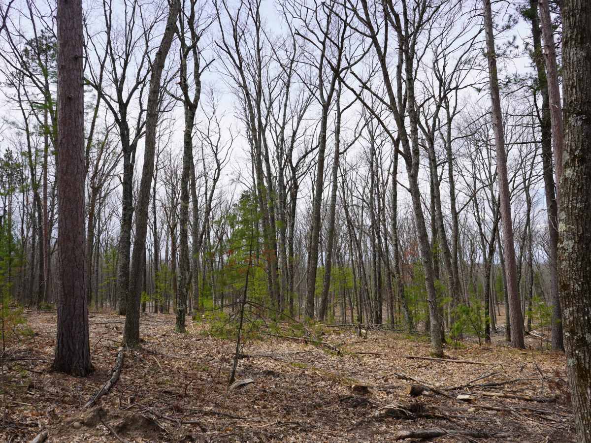 Meridian Road - FS 4165 photo 6