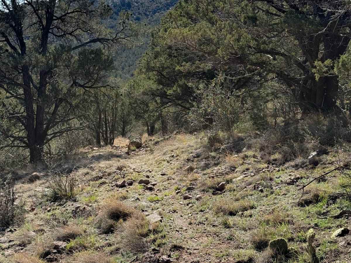 7 Up Trail #5  photo 4