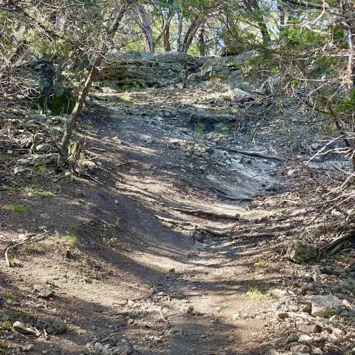 Trail leading to Dana Peak summit Near Dana Peak Hill Trail