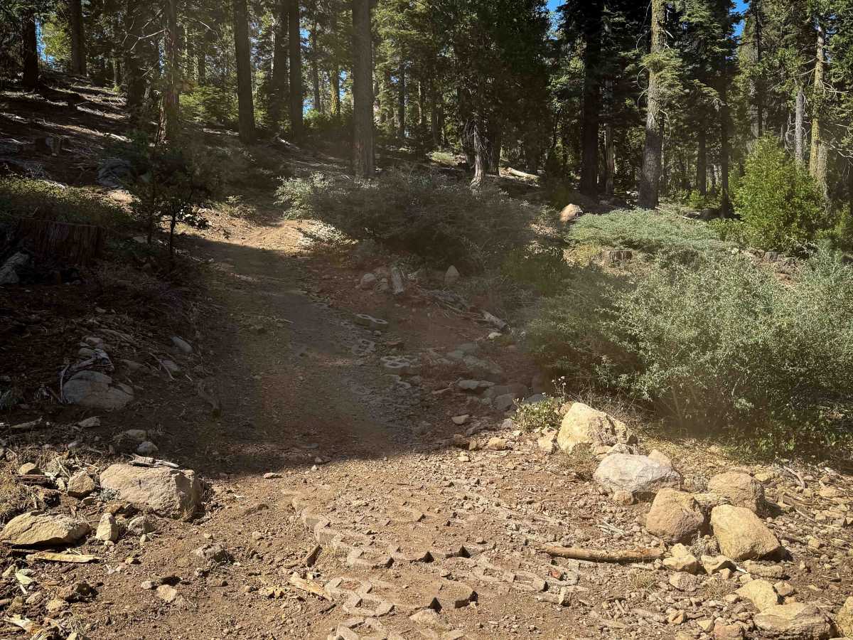 18EV89 trail photo