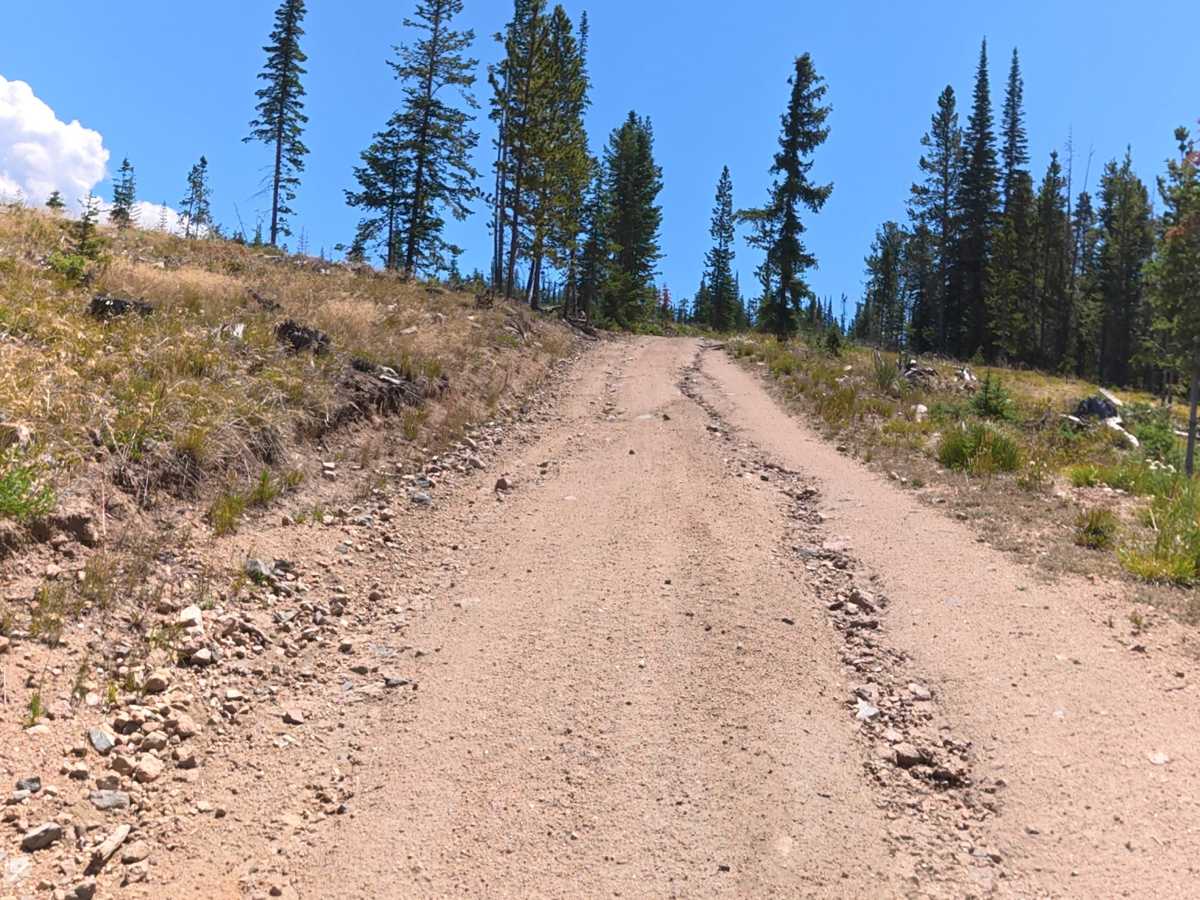 Government Creek Road photo 2