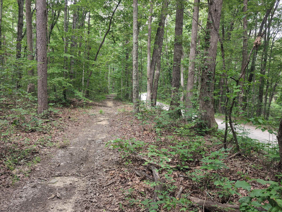 Sheltowee Trace Single Track - FS 100 photo 6