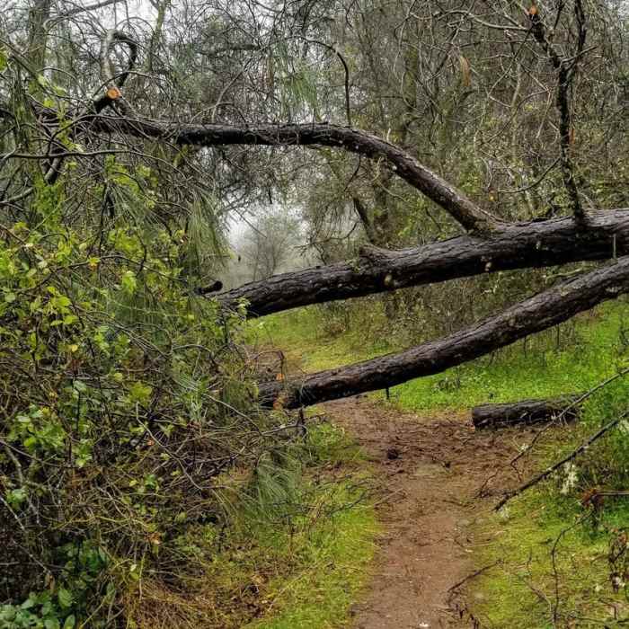 Near Cardiac Bypass Trail