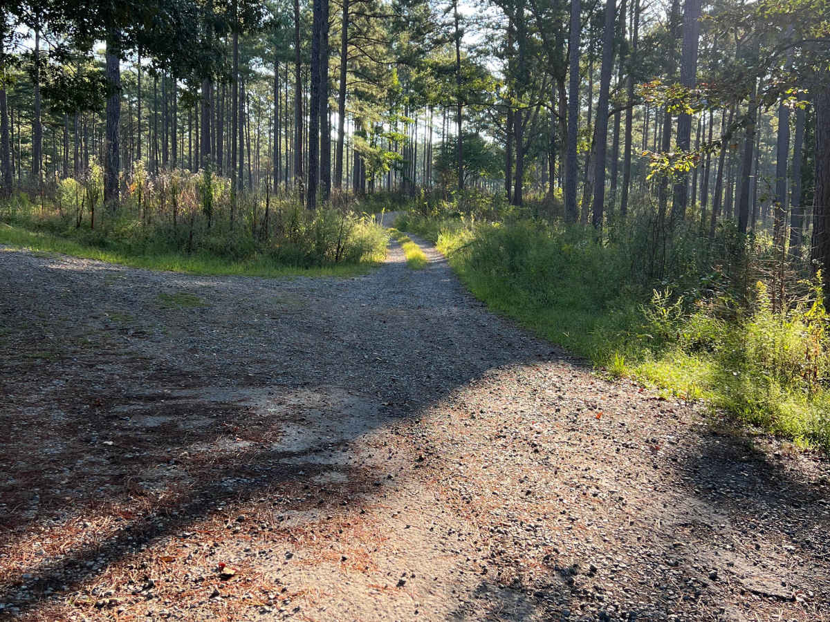 Gentry Gap - FS 233 photo 3