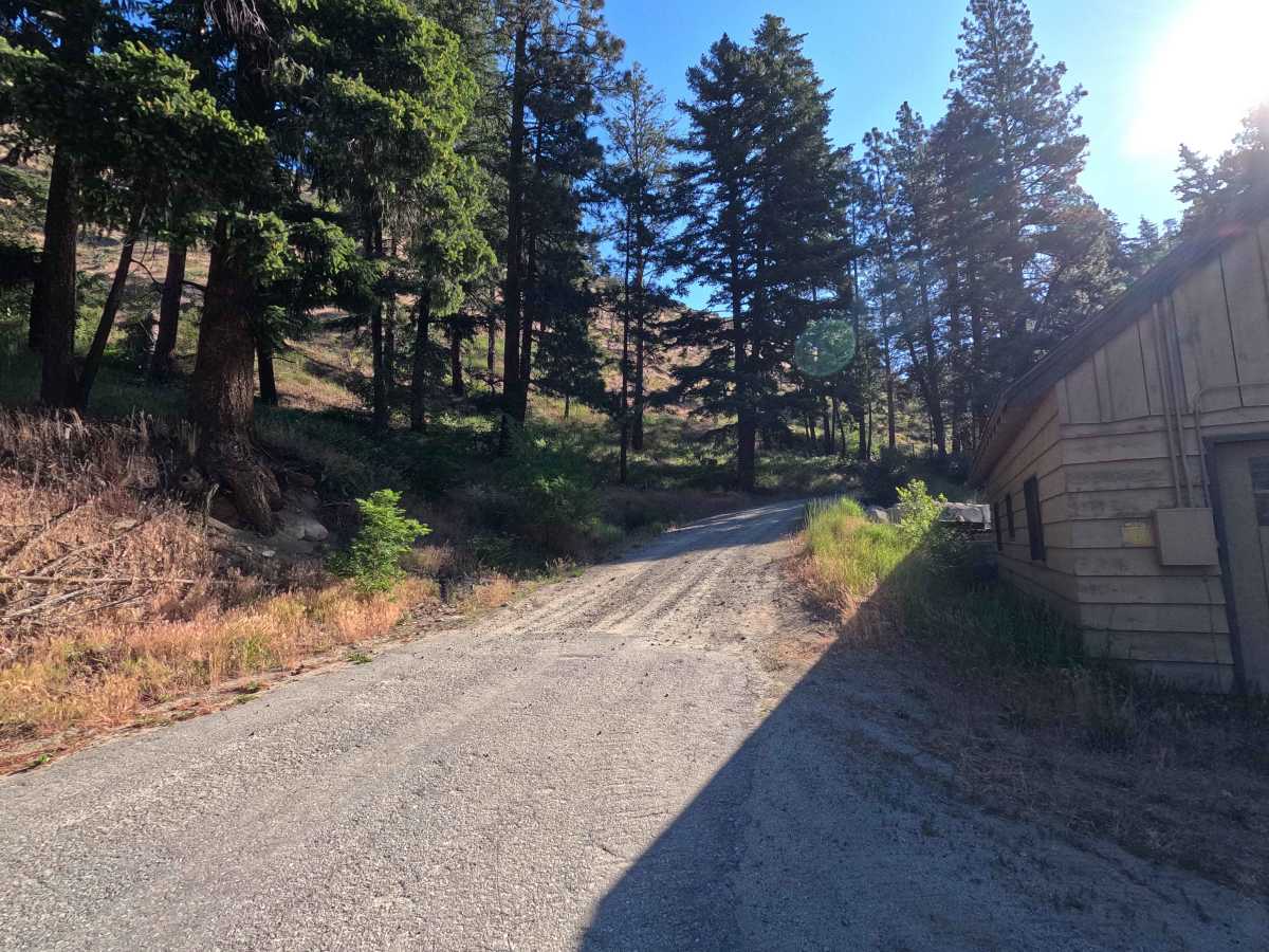 Steliko Ridge Road - FS 5310 trail photo