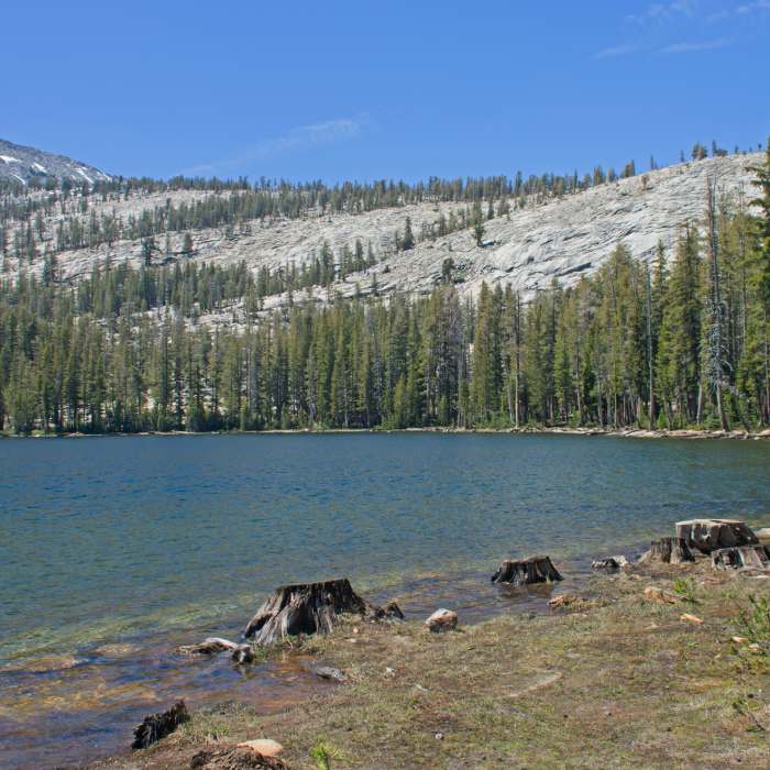 Near Lillian Lake Loop