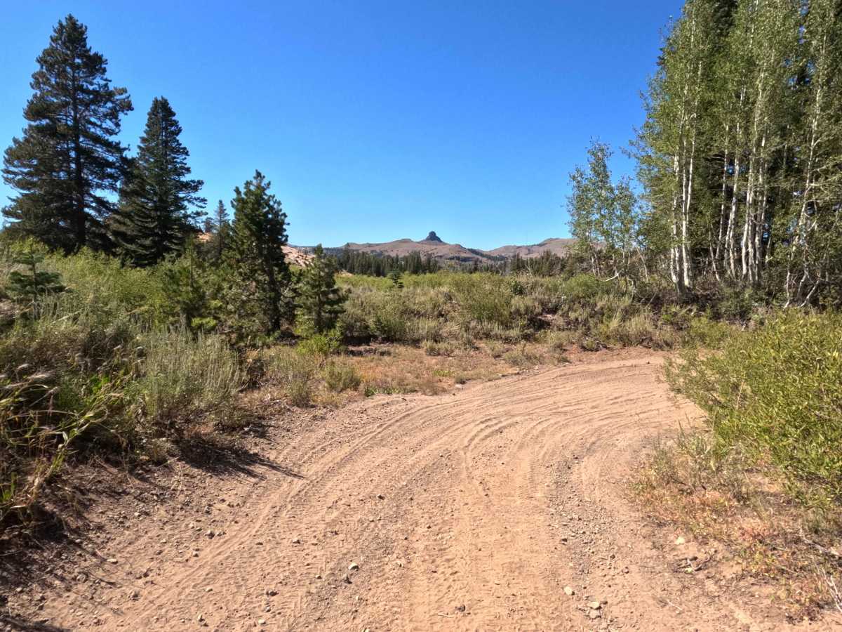 Tamarack Road - FS 31097 trail photo
