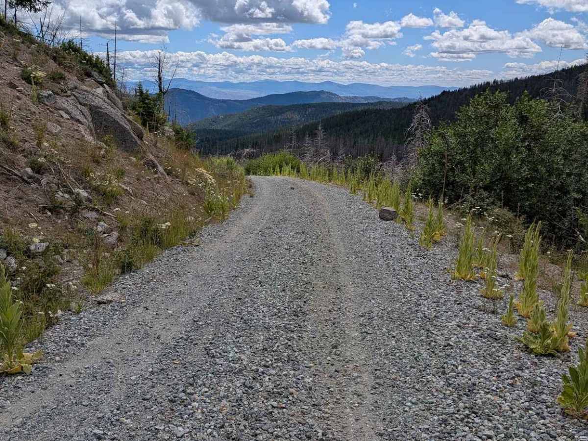 Wickiup Creek Road photo 3