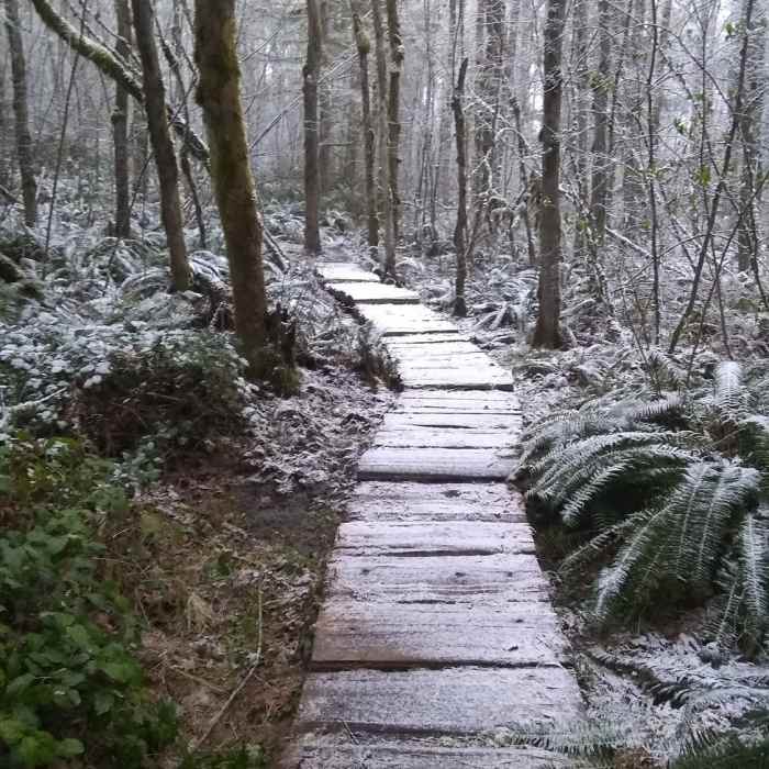Near Hugo Peak Trail