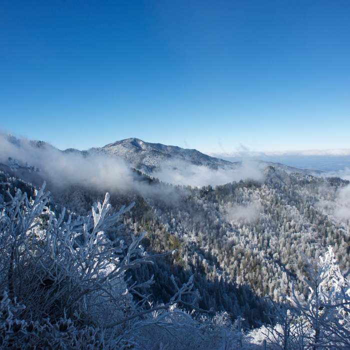 Mount LeConte after a winter storm on the AT. Clouds hug the ridges and hoarfrost covers the trees. Near Charlies Bunion via Kephart Loop