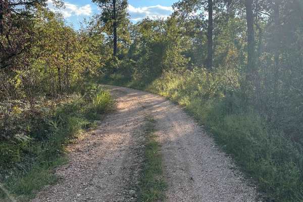 Twin Knobs