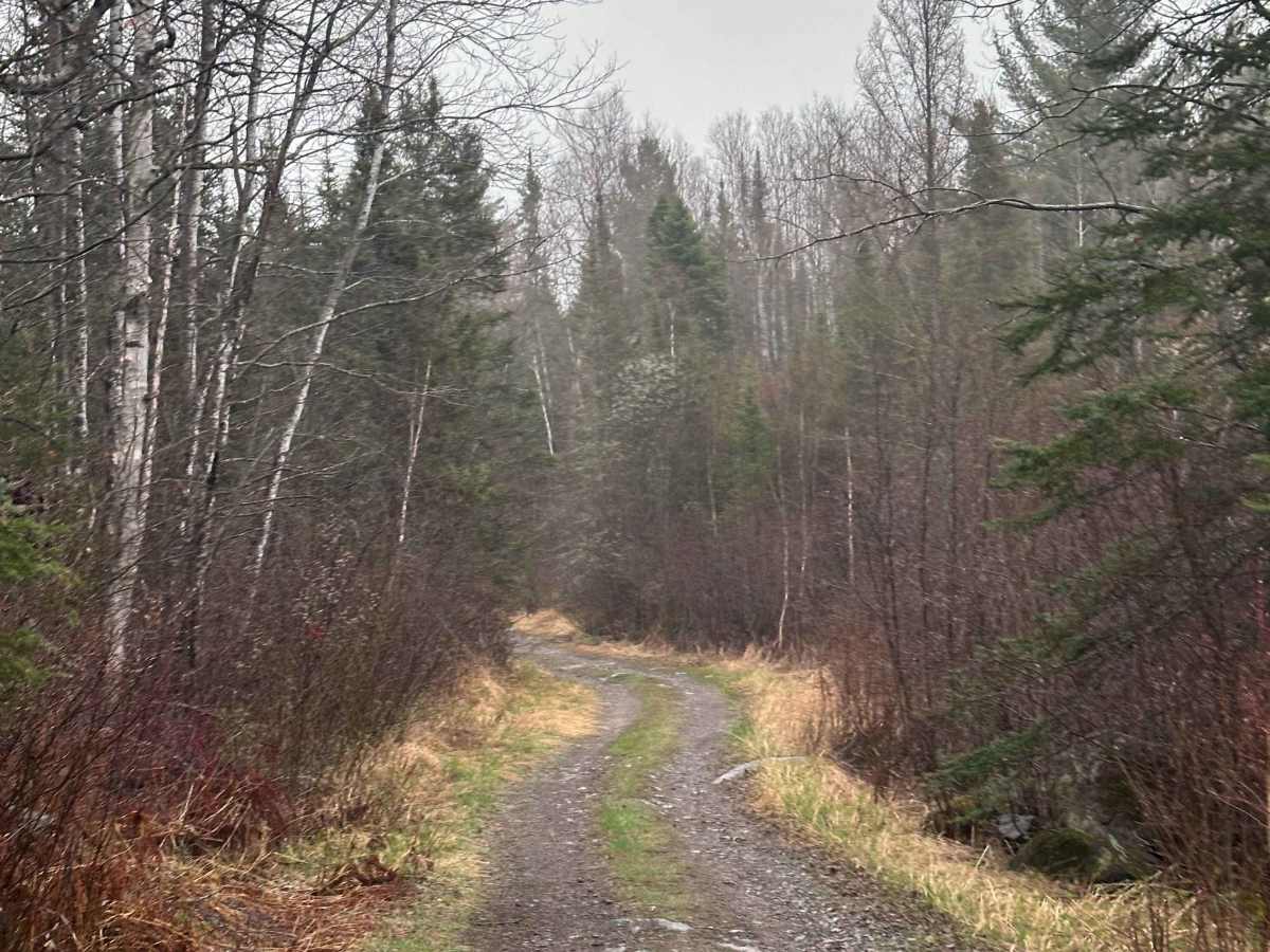 Powers Lake Road West photo 6