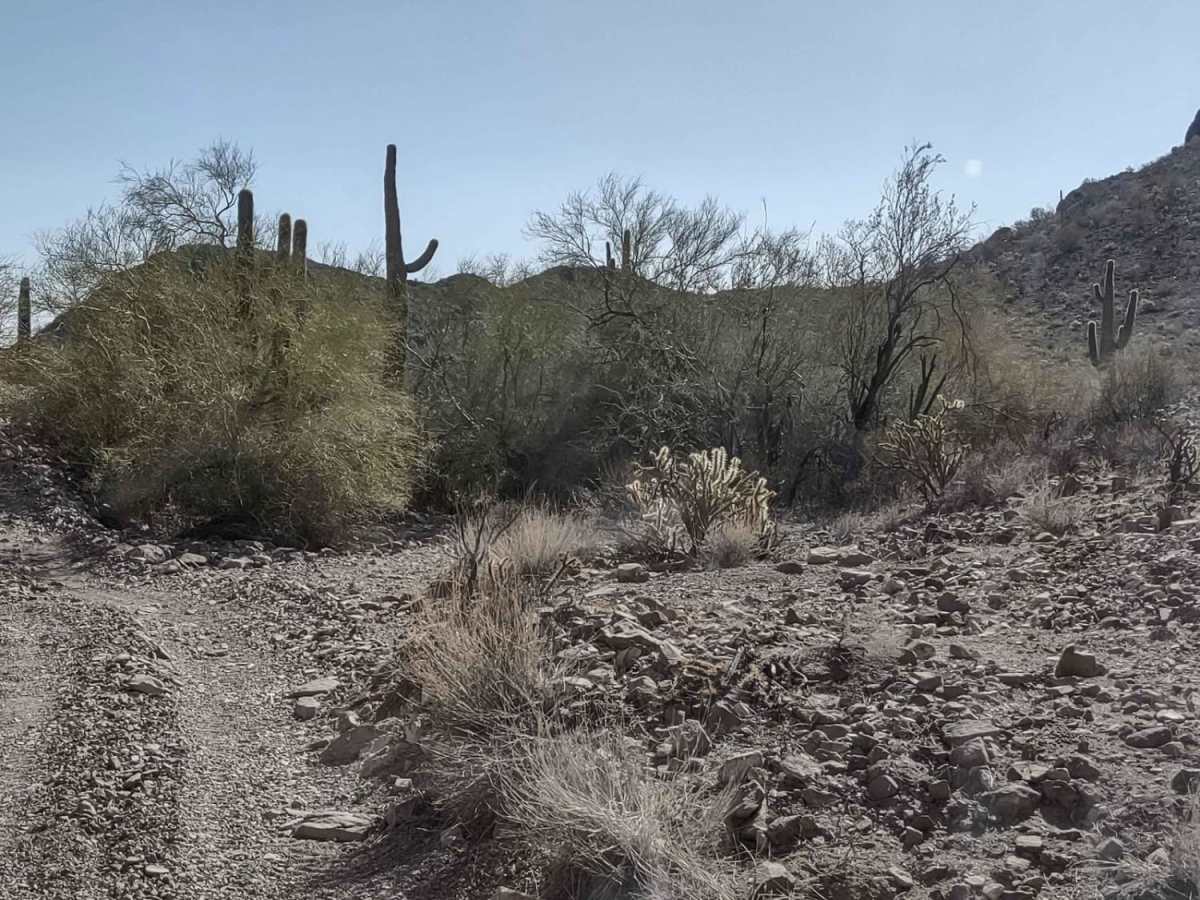 Rockin' Ram Trail - Southern Section photo 4