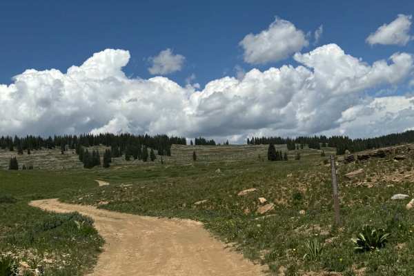 Transfer Trail North