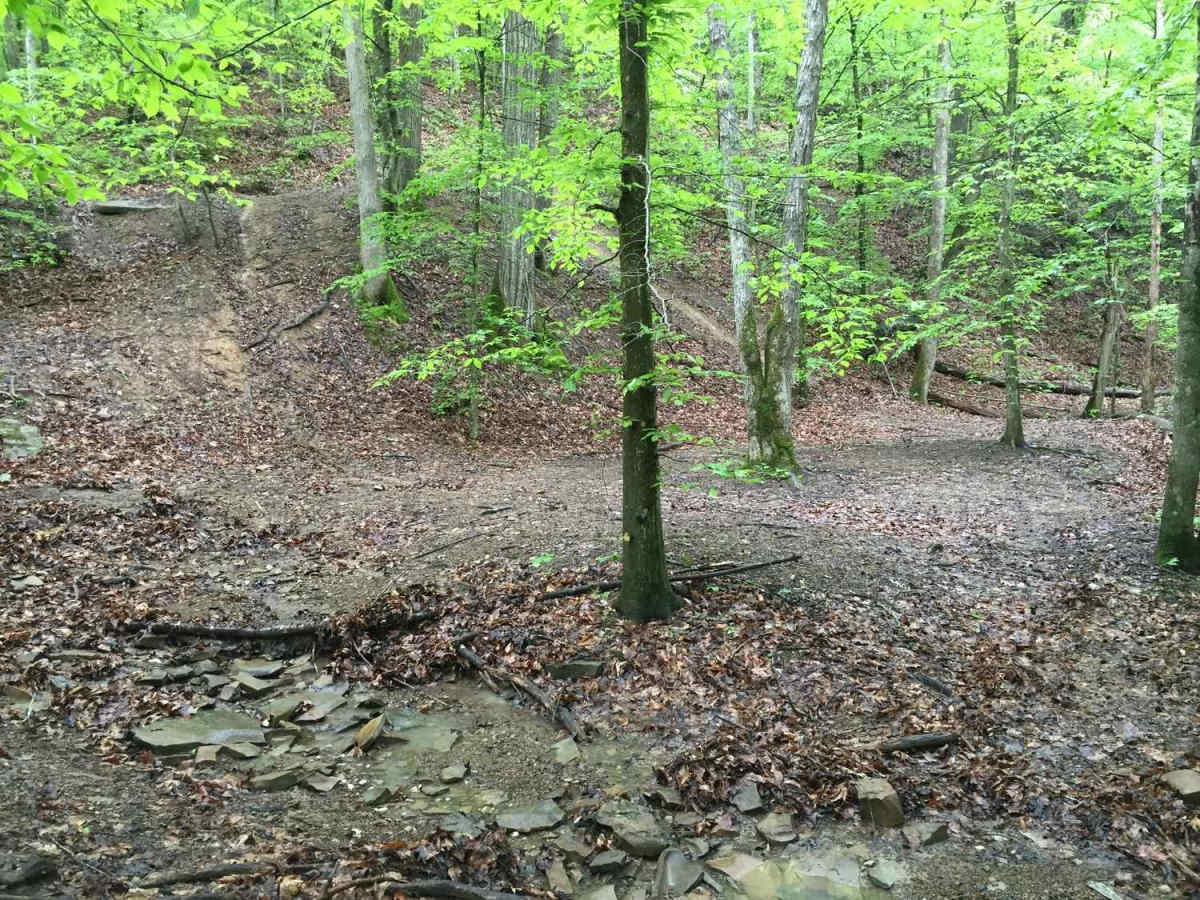 White Sulphur ATV Loop to Overlook photo 5