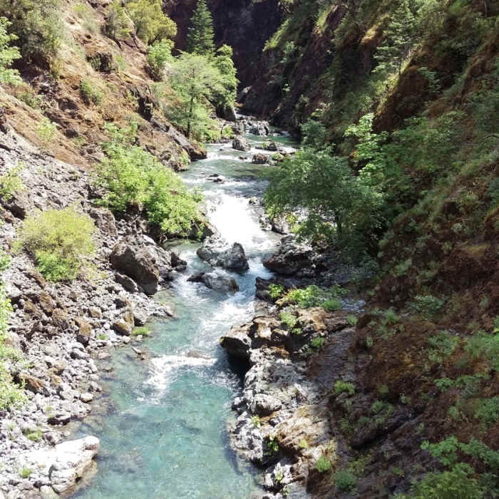 Near Illinois River Trail #1161