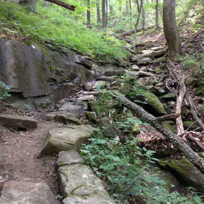 Another view of the rock staircase Near Schooner Trace-Walnut Loop