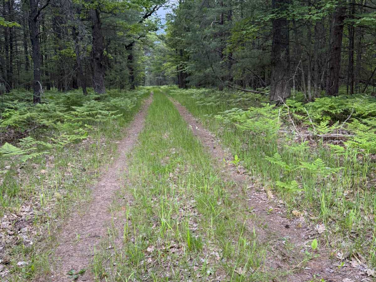 Crofton West Trail photo 3