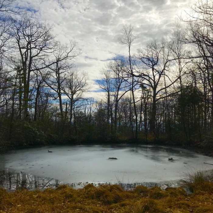 Near Laurel Run Circuit