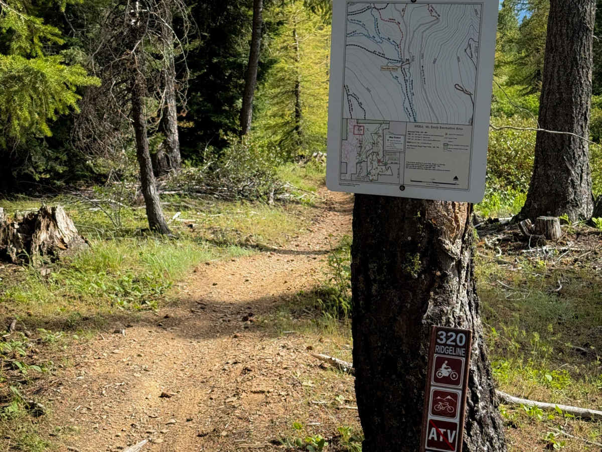 Ridgeline - Trail 320  photo 3