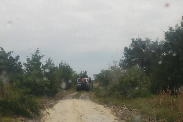 Road 15