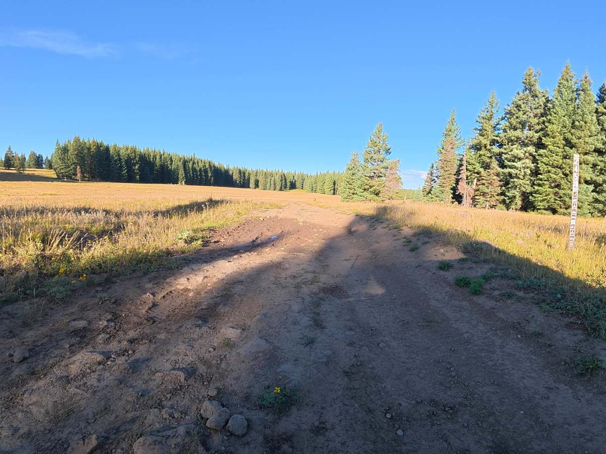 Hamilton Park Overlook trail photo