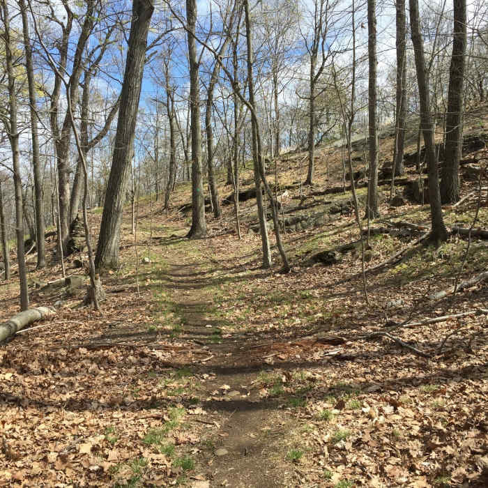 Near White - Long Path - Red - Blue Trail Loop