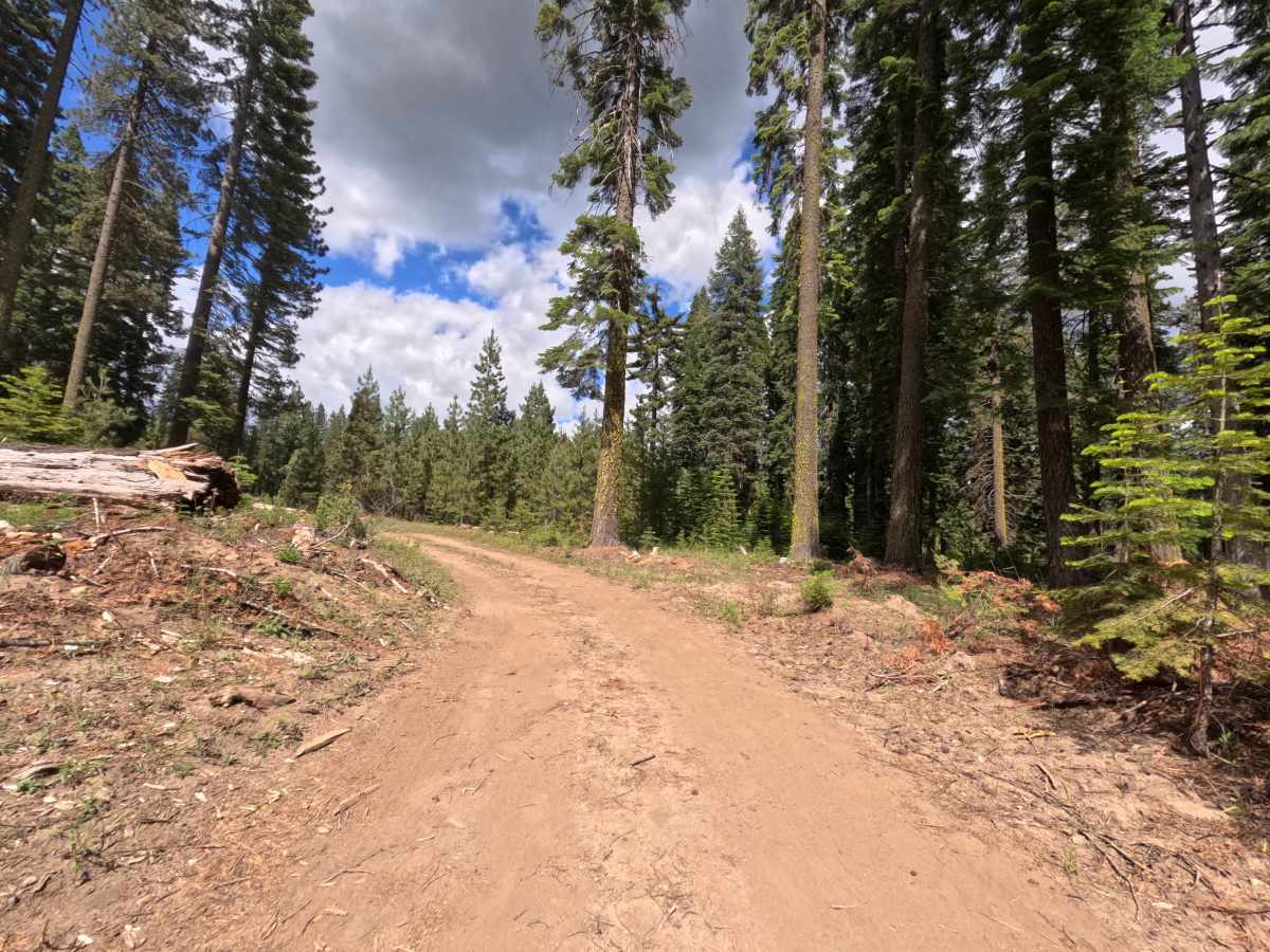 Eye - FS 11N83 trail photo