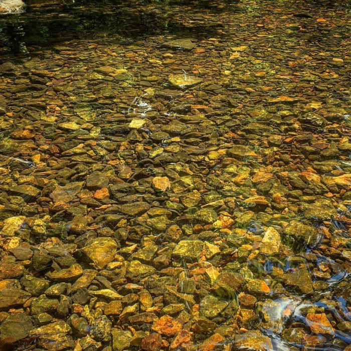Tanyard Creek Water Near Tanyard Creek Loop