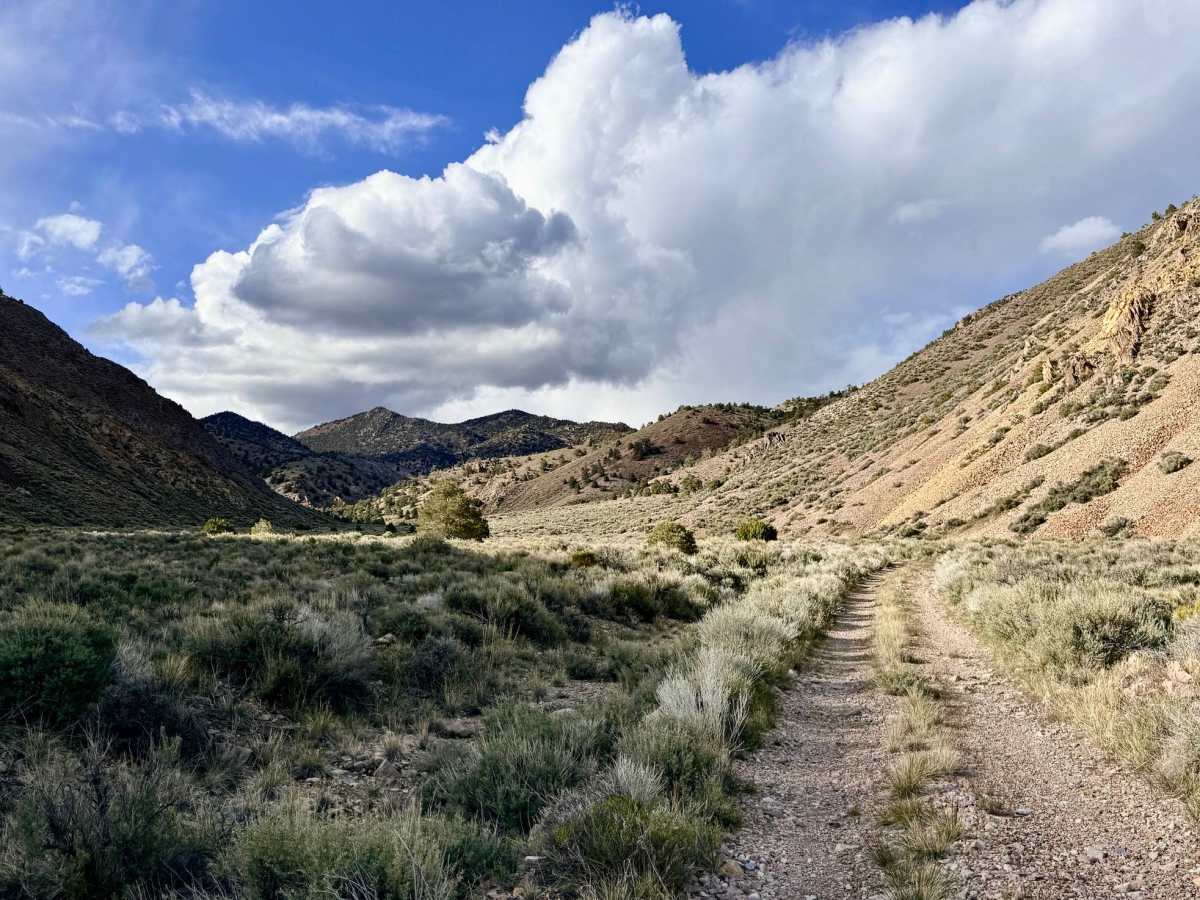  Horse Creek - FS 44166 trail photo