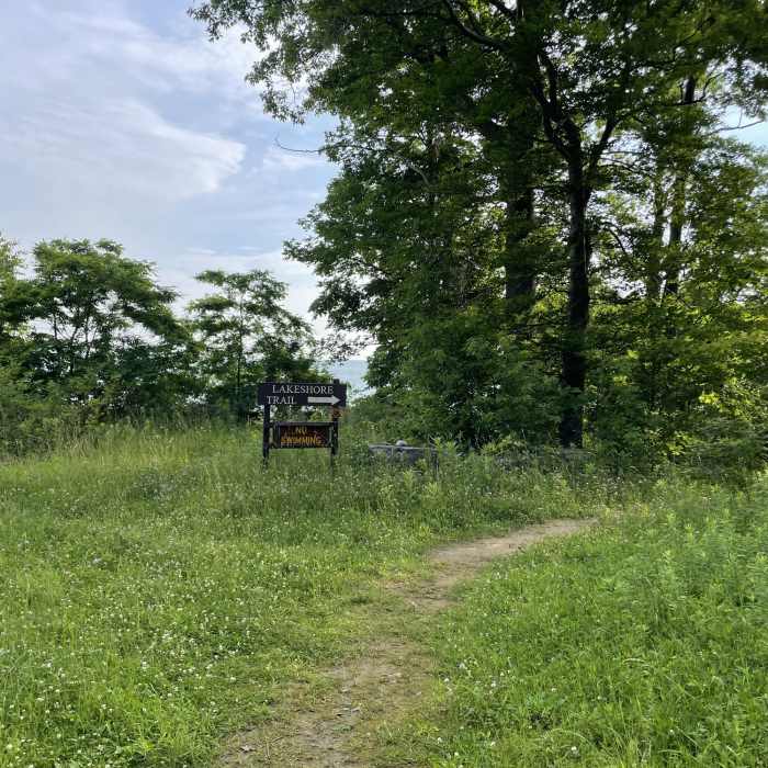 Near Lakeshore / Woodland Loop