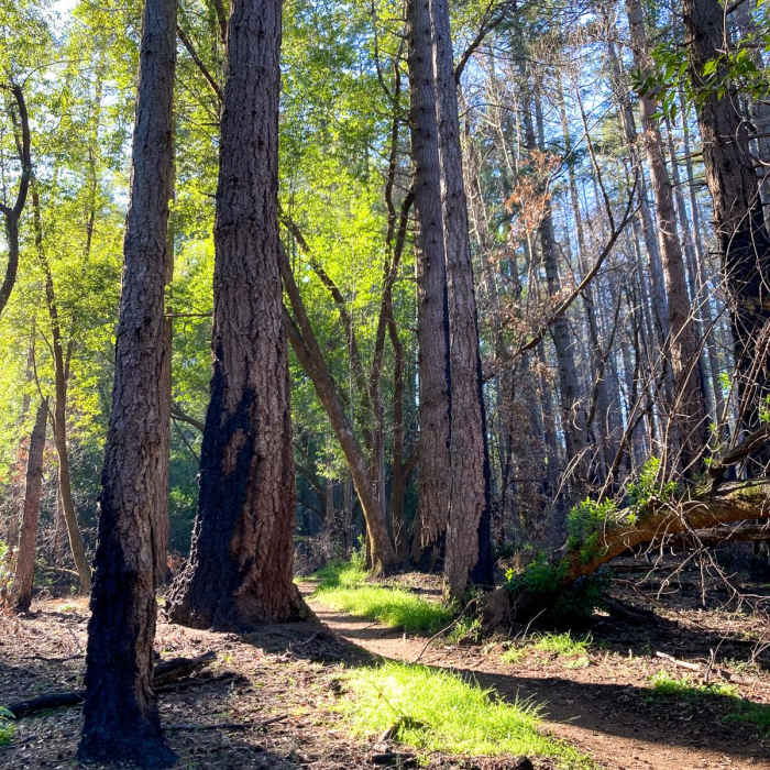 Near Mount Wittenberg via Horse Trail