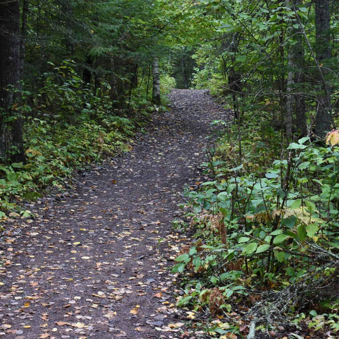 Near Big Manitou Falls River Trail Near Big Manitou Falls River Trail