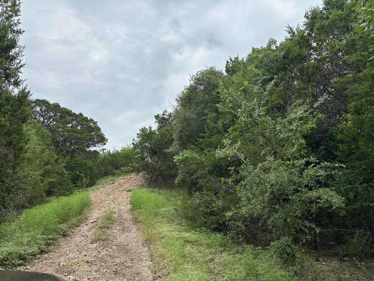 Chisholm Trail photo 3